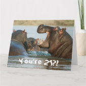 Carte Funny Hippopotamus Hippo Joyeux 21e anniversaire (Devant)