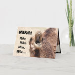 Carte Funny Hump Day Card for Mike! (personnaliser)<br><div class="desc">Funny Hump Day carte d'anniversaire pour Mike!   "Mike,  Mike,  Mike,  Mike,  Mike... . "ou customisez l'accueil pour les vacances ou les occasions spéciales !
TOUT LE MONDE connaît un Mike !  Ne serait-il pas amusant de leur envoyer leur propre carte personnalisée ?</div>