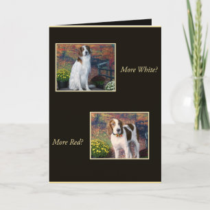Carte Funny Irish Red and White Setter Birthday Card