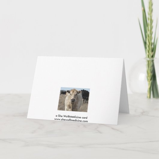 Carte Funny Moo Black White Vache Apologie - Ranch ou fe (Dos)