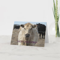 Funny Moo Black White Vache Apologie - Ranch ou fe