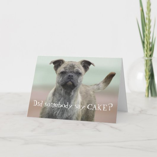 Carte Funny Mutt Mixed Breed Chig Photo Joyeux Anniversa (Devant)
