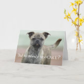 Carte Funny Mutt Mixed Breed Chig Photo Joyeux Anniversa (Fleur jaune)