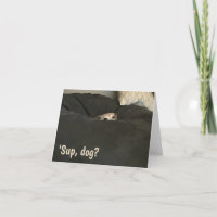 Funny Note Card for Those Who Love Dogs