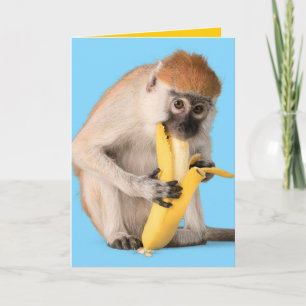 Carte Funny Photo of A Cute Monkey Eating A Banana