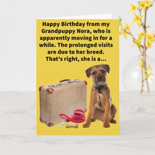 Carte Funny Pun Boarder Terrier Joyeux anniversaire (Fleur jaune)
