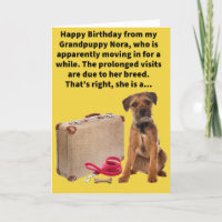 Funny Pun Boarder Terrier Joyeux anniversaire