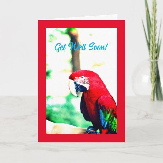 Carte Funny Red Parrot Get Well Card (Devant)