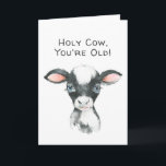 Carte Funny Saint-Vache Anniversaire pour n'importe qui<br><div class="desc">Une carte d'anniversaire amusante pour n'importe quel âge adulte, ce design a un style simple avec un look propre. Une illustration aquarelle d'une vache aux grands yeux bleus sur le devant de la carte avec "Holy Cow, You're Old!" projette un sentiment drôle et léger. Il y a aussi un exemple...</div>