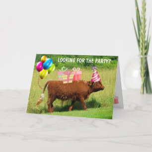Carte Funny Scottish Highland Steer Anniversaire