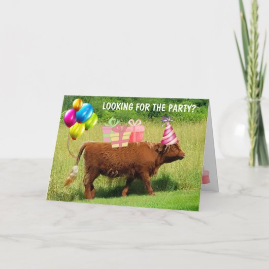Carte Funny Scottish Highland Steer Anniversaire (Devant)