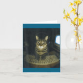 Carte Funny Serious Gamer Cat Lovers Stud Kitty Cat Meme (Fleur jaune)