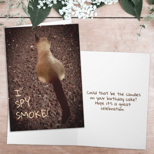 Carte Funny Siamese Kitten Butt Photo Anniversaire