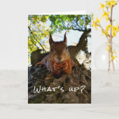 Carte Funny Squirrel Cute Animals Hello There from Hi (Fleur jaune)