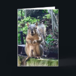 Carte Funny Squirrel Deez Nuts Texte personnalisé Annive<br><div class="desc">Customisez cette drôle de carte d'anniversaire ou laissez-la comme... DEEZ NUTS! Un écureuil hilarant joue avec des mots qui plaisantent sur ses noix. Humour brut pour une occasion adulte. Faites rire vos amis avec cette citation pop culture.</div>