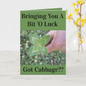 CARTE FUNNY ST PATRICK'S DAY CARD (Fleur jaune)