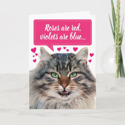 Carte Funny Valentine's Day Maine Coon Chat personnalisa (Devant)