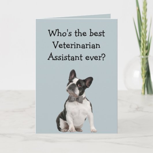 Carte Funny Veterinarian (Devant)