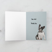 Carte Funny Veterinarian Thank (Intérieur)