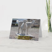 Carte Funny Western (Dos)