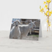 Carte Funny Western (Fleur jaune)