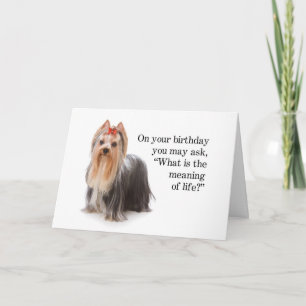 Carte Funny Yorkie Card