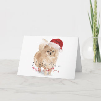 Carte FURRY CHRISTMAS Santa Hat Poméranie Calligraphie