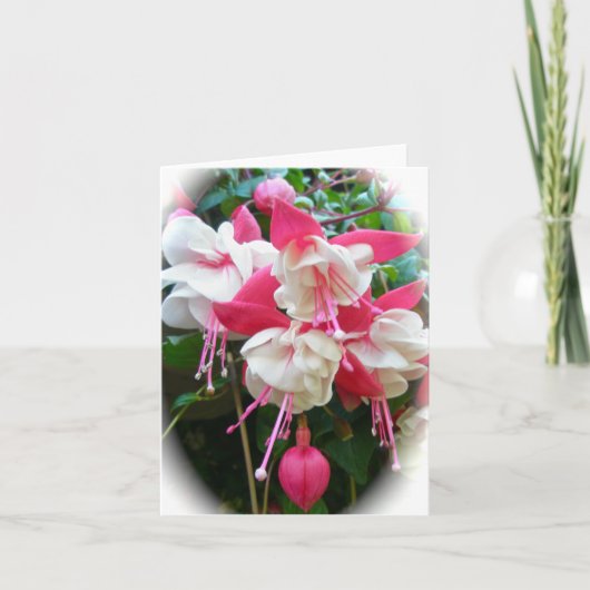 Carte Fuschia rose et blanc (Devant)
