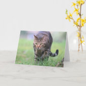 Carte Gabe (Fleur jaune)