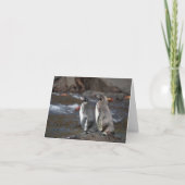 Carte Galapagos Penguin Pair Greeting Card (Devant)