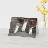 Carte Galapagos Penguins Folded Greeting Card (Fleur jaune)