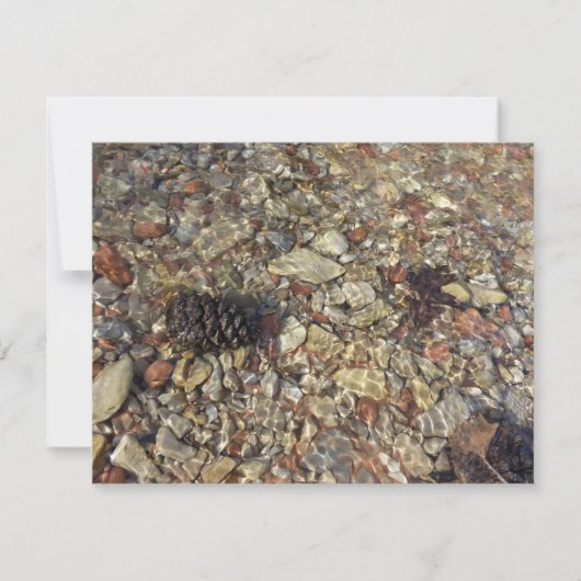 Carte Galets dans Taylor Creek Nature Photography (Devant)