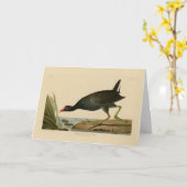 Carte Gallinule commune des oiseaux d'Amérique d'Audubon (Fleur jaune)