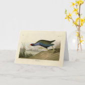 Carte Gallinule violette d'Audubon's Birds of America (Fleur jaune)