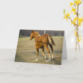 Carte Gallop Away (Fleur jaune)