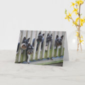 Carte gang de chiens (Fleur jaune)