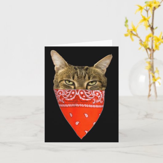 Carte Gangsta Cat Shirt Funny Red Band Kitty Cat For Men (Fleur jaune)