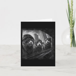 Carte Gangster Cats Street Humour graphique amusant