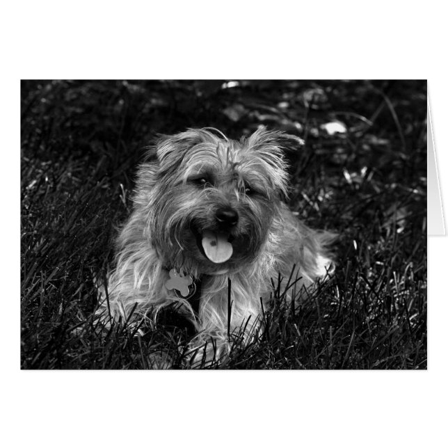 Carte garçon heureuse (Devant horizontal)