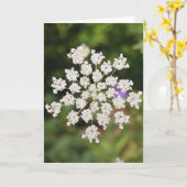 Carte Garden O Weedin Talking Canyons, Nouveau-Mexique (Fleur jaune)