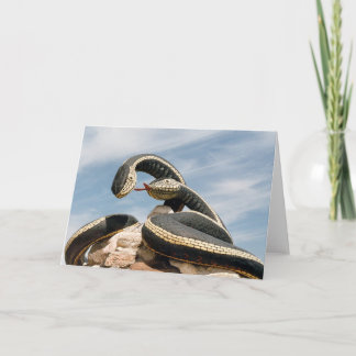 CARTE GARDER SNAKE