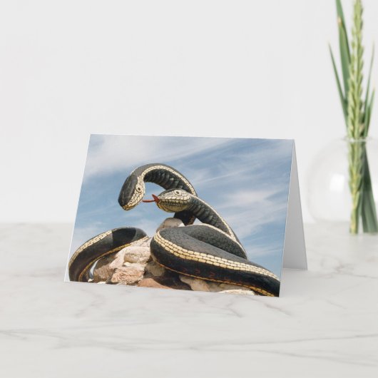 CARTE GARDER SNAKE (Devant)