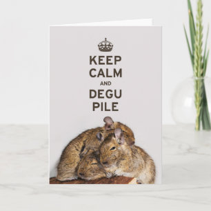 Carte Gardez le calme et la pile de Degu