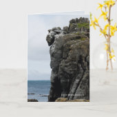 Carte Gardien dans la pierre (Fleur jaune)