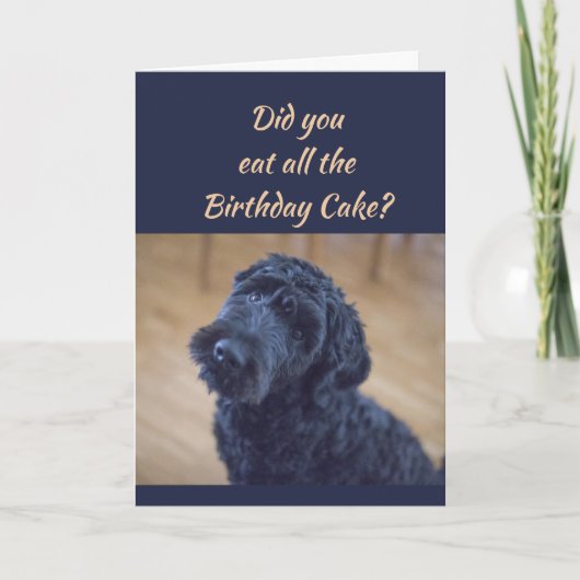 Carte Gâteau d'anniversaire Humour mignonne Chien bouclé (Devant)