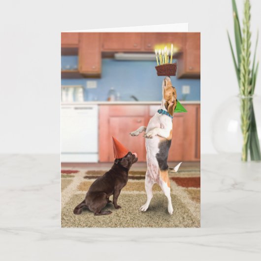 Carte Gâteau de équilibrage (Devant)