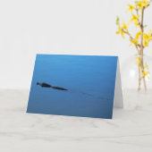 Carte Gator Trail - Personnalisable (Fleur jaune)