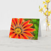 Carte Gazania (Fleur jaune)