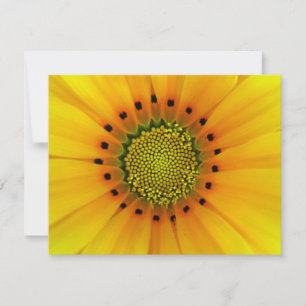 CARTE GAZANIA