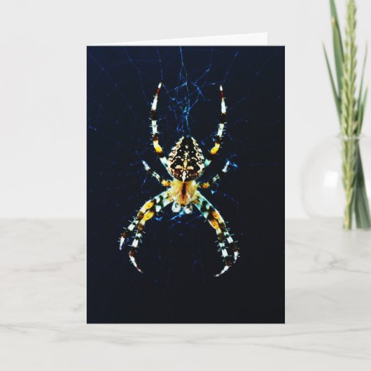 Carte Gcna Garden Spider (Devant)
